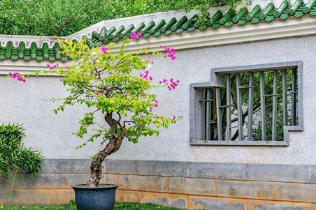 園林設計中圍墻的要求標準及圍墻實景圖
